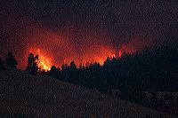 jb_fire-blackcat_5070
