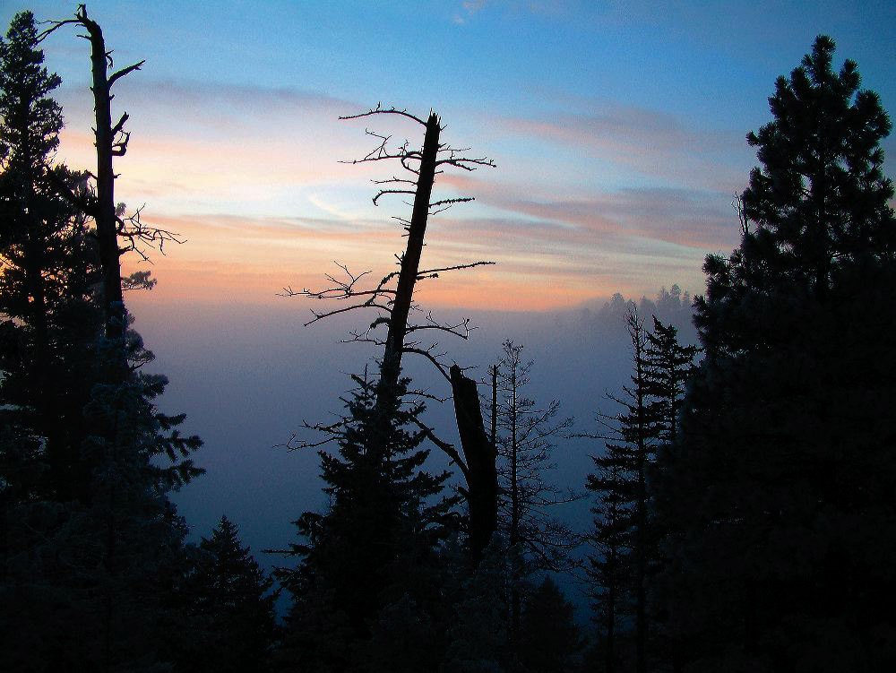 jb_woodypoint-fog_01.jpg