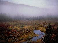 jb_clearwater-fog_002