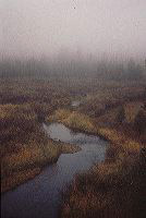 jb_clearwater-fog_004