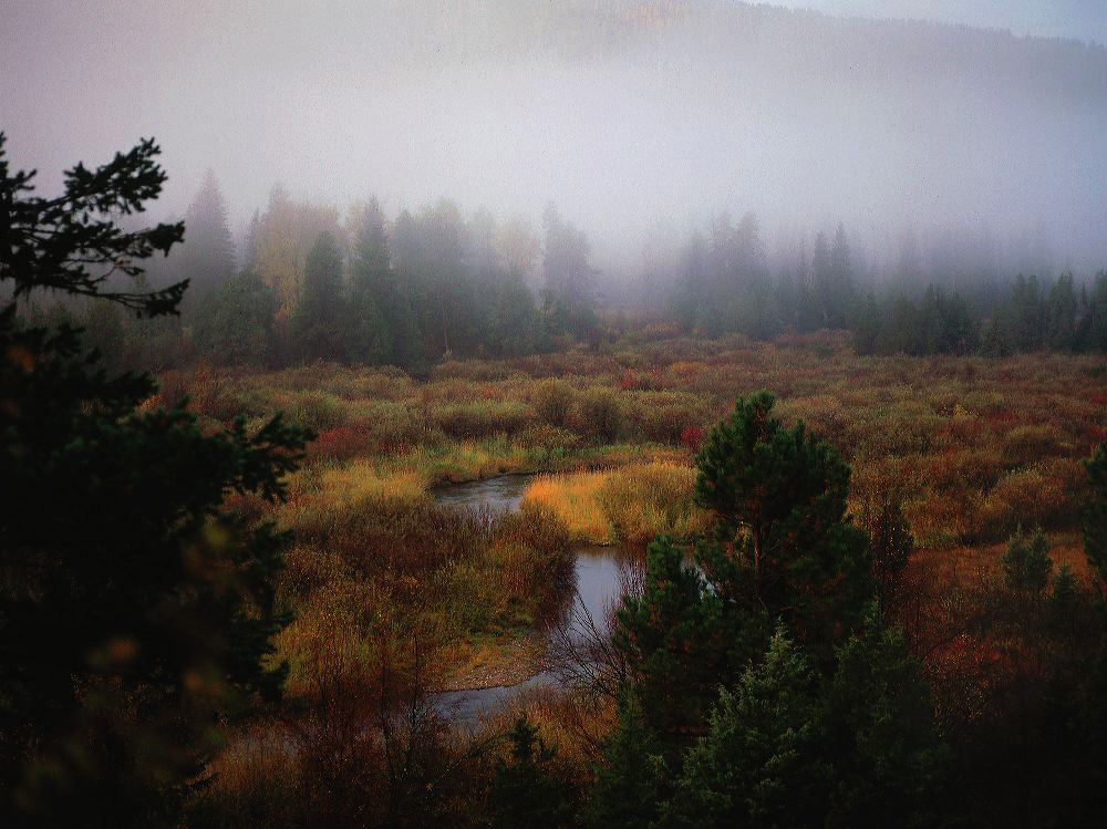 jb_clearwater-fog_001.jpg
