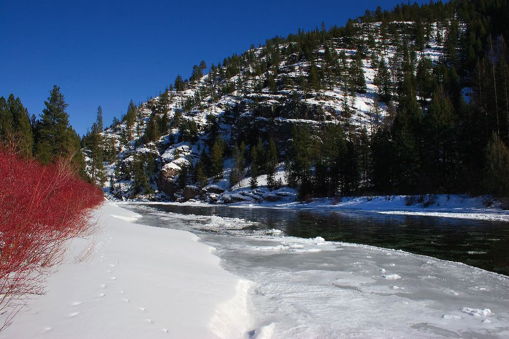 jb_blackfootr_winter_2245.jpg